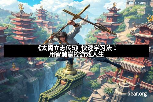 《太阁立志传5》快速学习法：用智慧掌控游戏人生